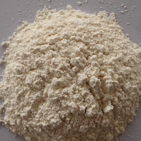 پودر سیر ارگانیک فله