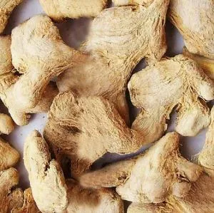 ریشه زنجبیل خشک شده