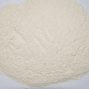 پودر پیاز خشک شده