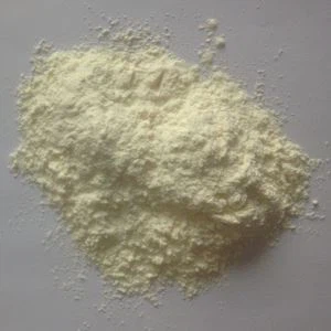 پودر سیر ارگانیک